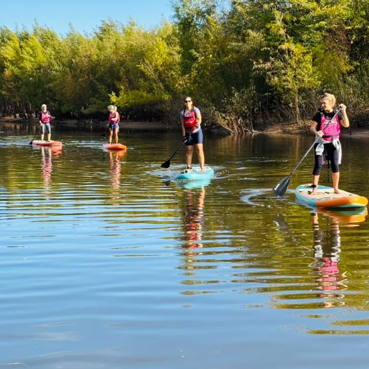 Cuatro personas remando de pie en fila junto a la costa arbolada, con chalecos rosas y el reflejo de los árboles en el agua