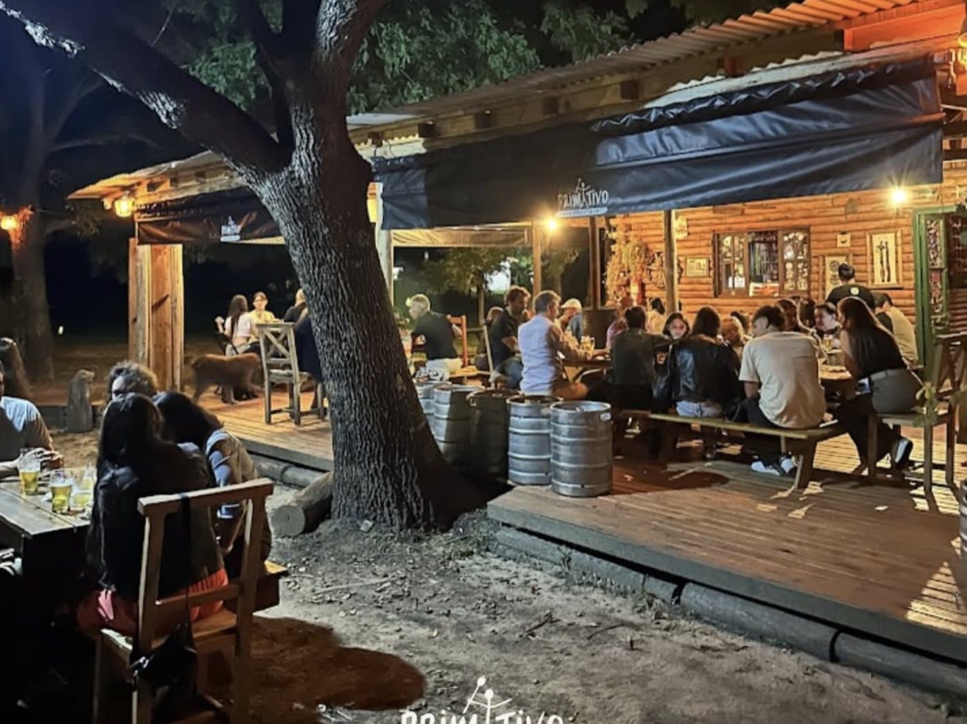 El patio del Tap Garden de noche, con mesas largas llenas de gente bajo un árbol y barriles de cerveza usados como mesa