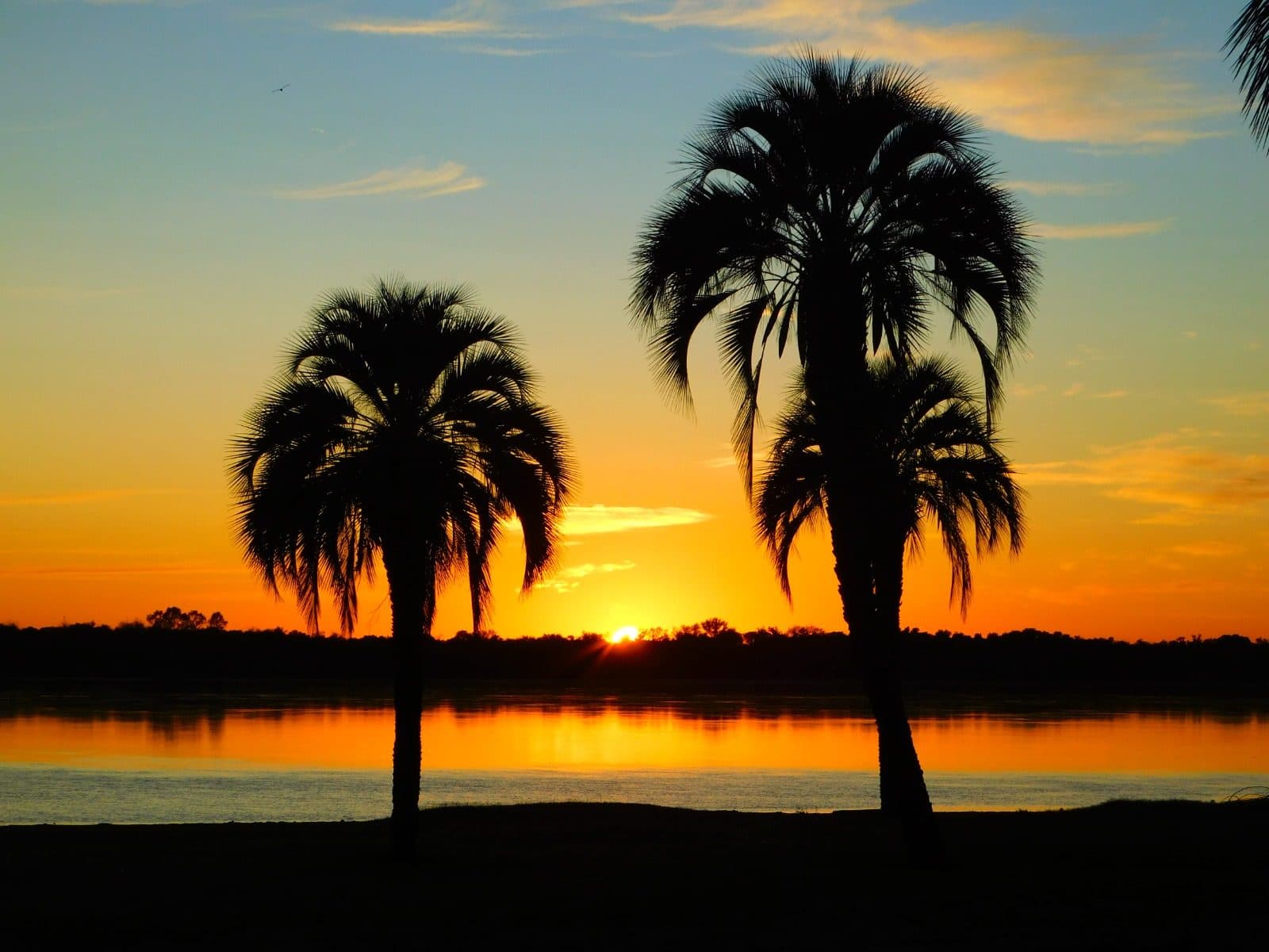 Dos palmeras en silueta contra el atardecer sobre el río Uruguay, en Colón, Entre Ríos