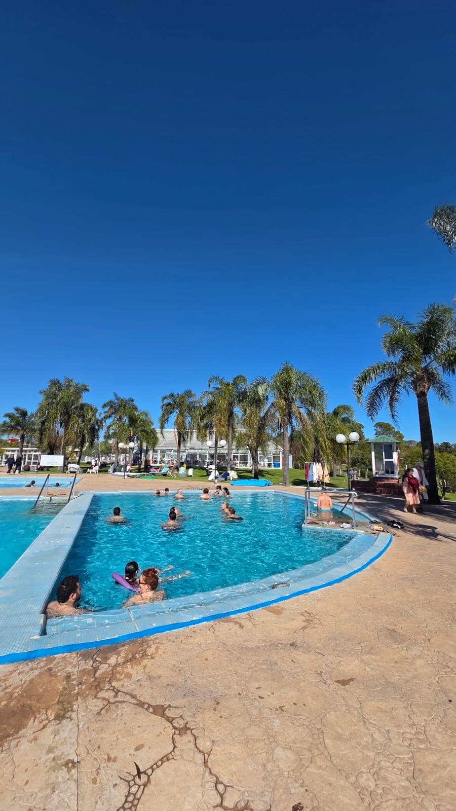 Piscina al aire libre rodeada de palmeras en el complejo Termas de Colón