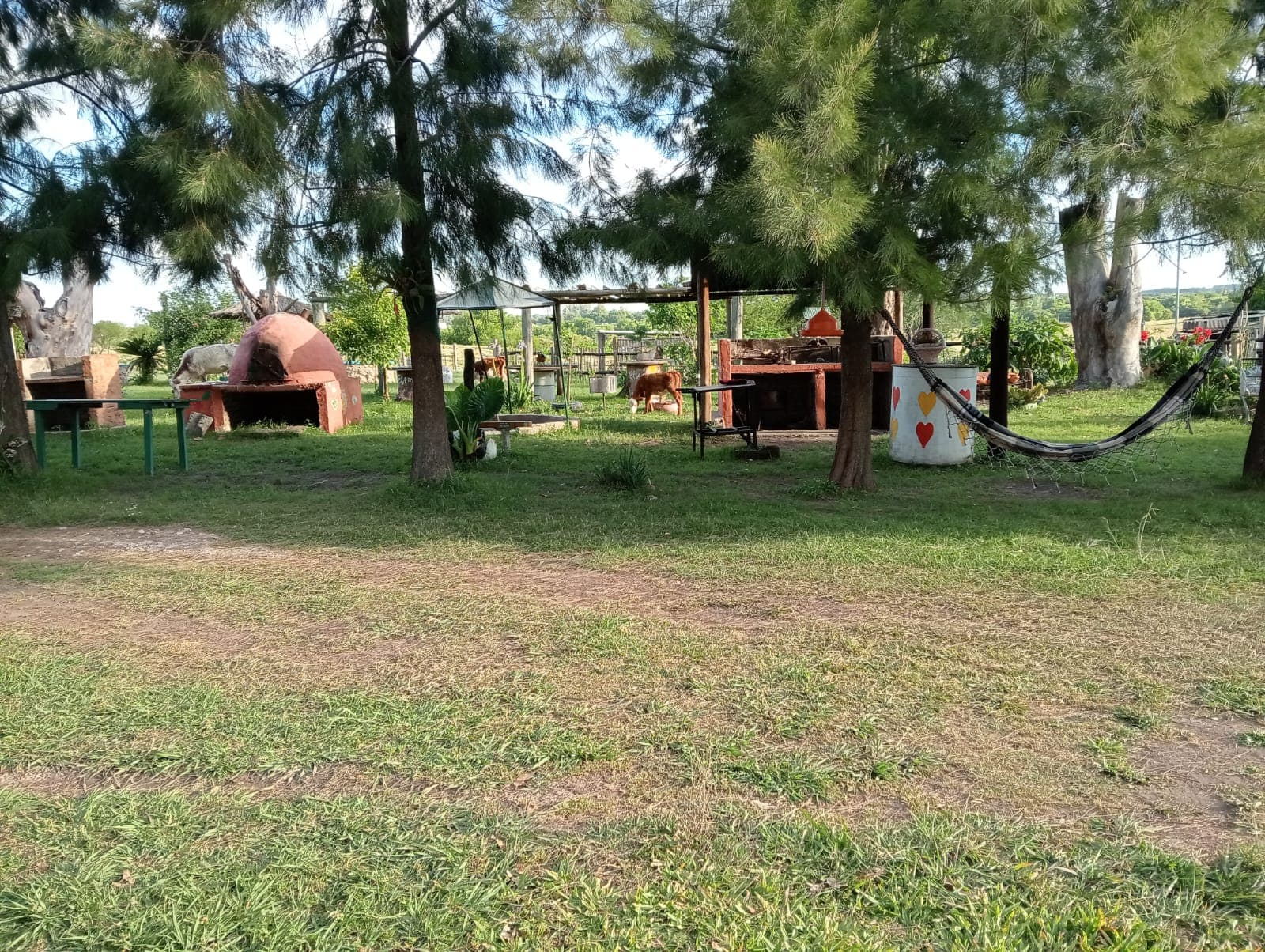 Casa de 4 habitaciones en Ejido Colón, Entre Ríos — foto 4